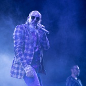 Concerts del Pinar