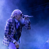 Concerts del Pinar