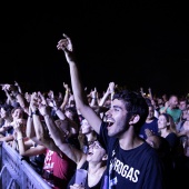 Concerts del Pinar