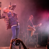 Concerts del Pinar