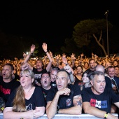 Concerts del Pinar