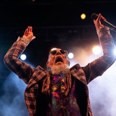 Concerts del Pinar