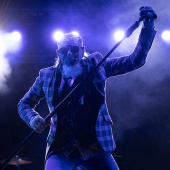 Concerts del Pinar