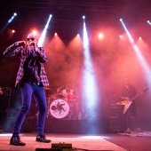Concerts del Pinar