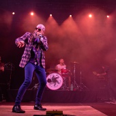 Concerts del Pinar