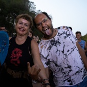 Concerts del Pinar