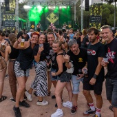 Concerts del Pinar