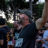 Concerts del Pinar