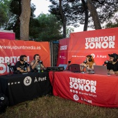 Concerts del Pinar