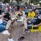 Concerts del Pinar