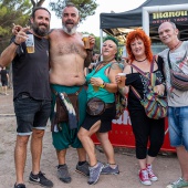 Concerts del Pinar