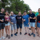 Concerts del Pinar