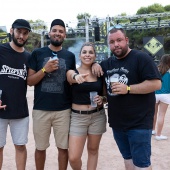Concerts del Pinar