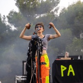 Concerts del Pinar