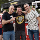 Concerts del Pinar