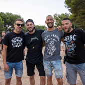 Concerts del Pinar