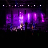 Concerts del Pinar