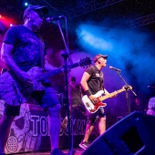 Concerts del Pinar