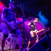 Concerts del Pinar