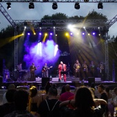 Concerts del Pinar