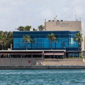 Dragon Boat