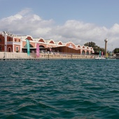 Dragon Boat