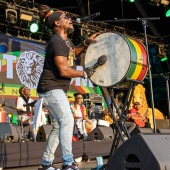 Rototom Sunsplash