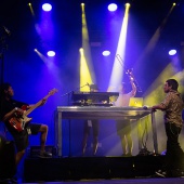 Rototom Sunsplash