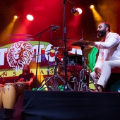 Rototom Sunsplash