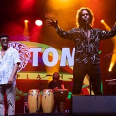 Rototom Sunsplash