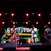 Rototom Sunsplash