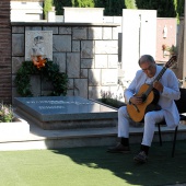 Homenaje Francisco Tárrega