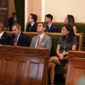 Pleno del Consell