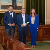 Pleno del Consell