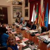 Pleno del Consell