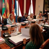 Pleno del Consell