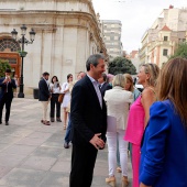 Pleno del Consell