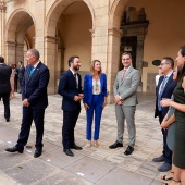 Pleno del Consell