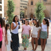 Castellón Street Park