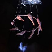 Ballet Aerial Strada