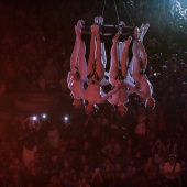 Ballet Aerial Strada