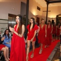 Castellón, desfile benéfico Asociación Contra el Cáncer