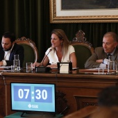Pleno Ayuntamiento