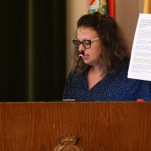 Pleno Ayuntamiento