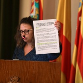 Pleno Ayuntamiento