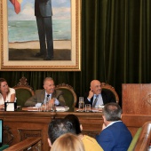 Pleno Ayuntamiento
