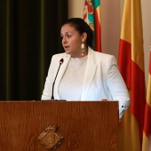 Pleno Ayuntamiento