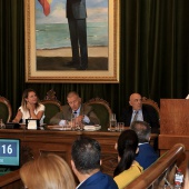 Pleno Ayuntamiento