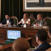 Pleno Ayuntamiento