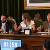 Pleno Ayuntamiento